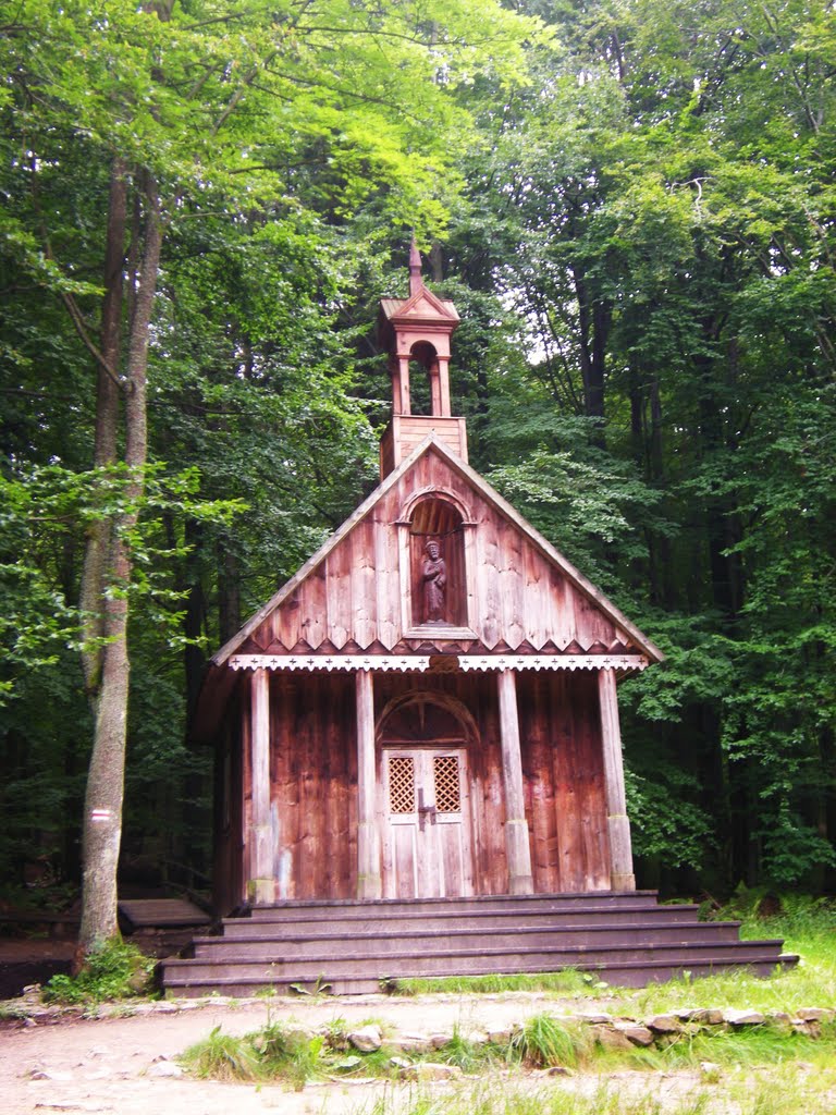 Kaplica św.Franciszka/St.Francis Chapel by Ewa_K