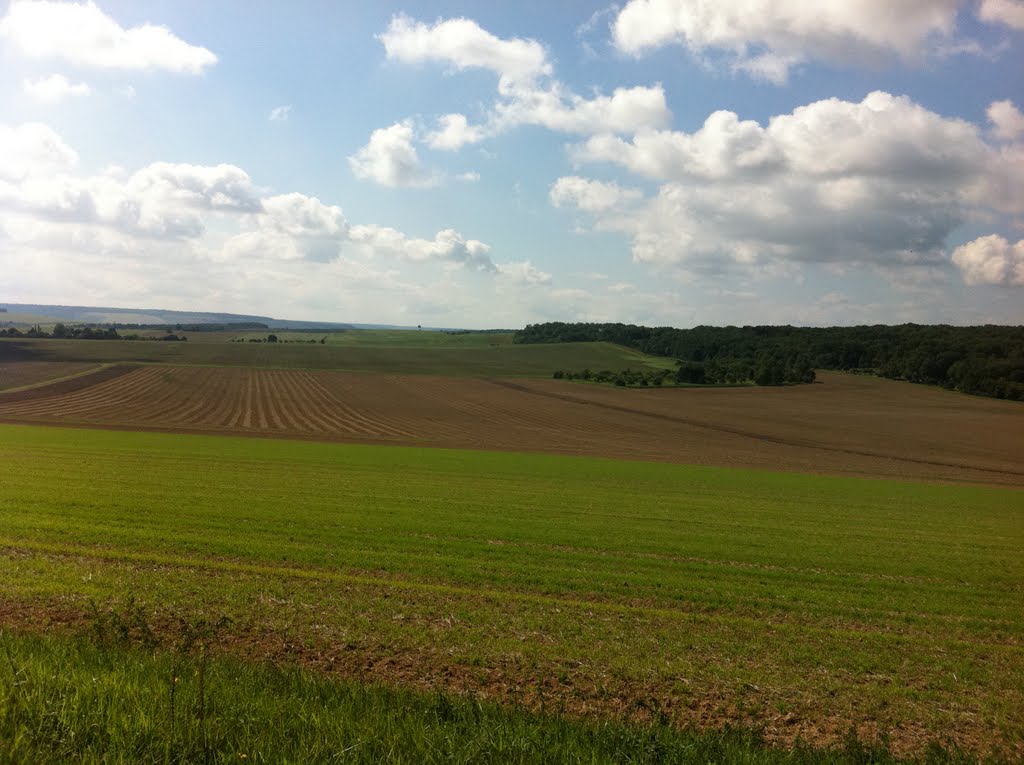 Vue sur champ blanc by mars.mars