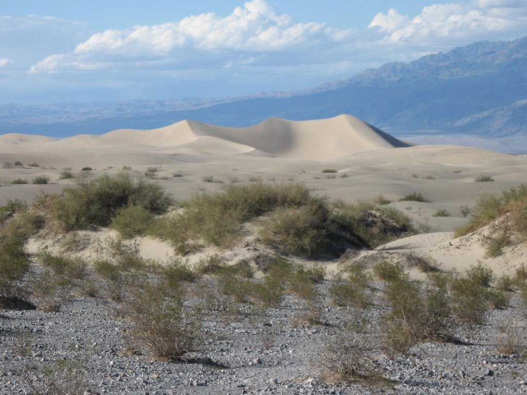 Death Valley by troktolit