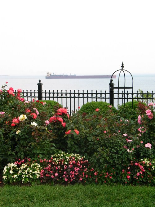 Duluth MN Rose Garden by beno0035