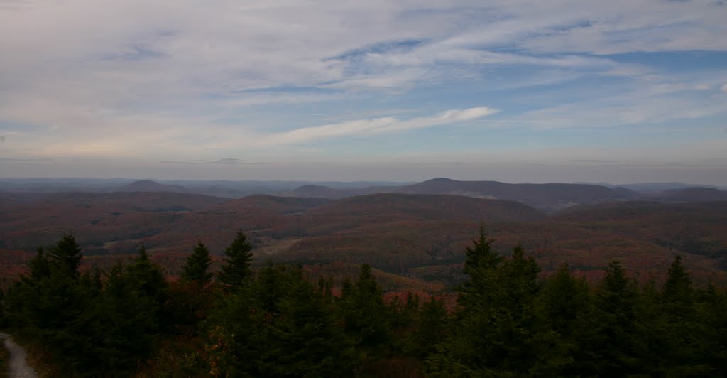 View from Spruce Knob by Dave Fiorucci