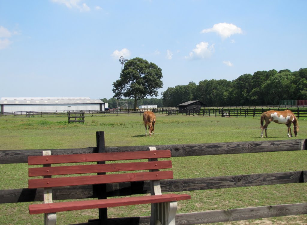 Richland Horse Pasture by Chris Sanfino