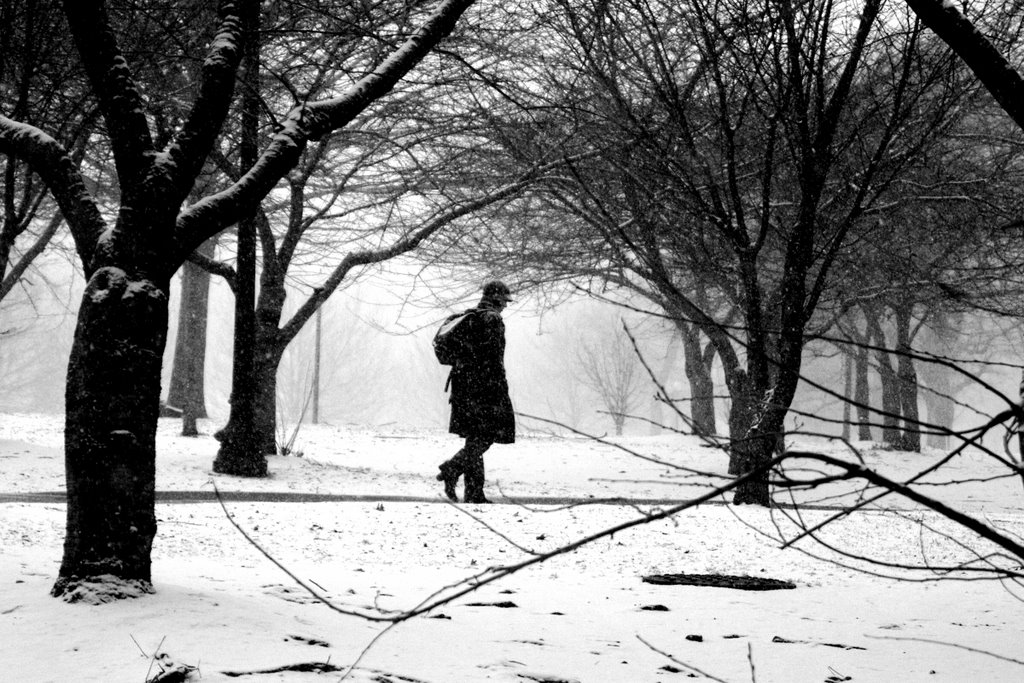 A cold winter in the Boston Common by Hugo Melguizo