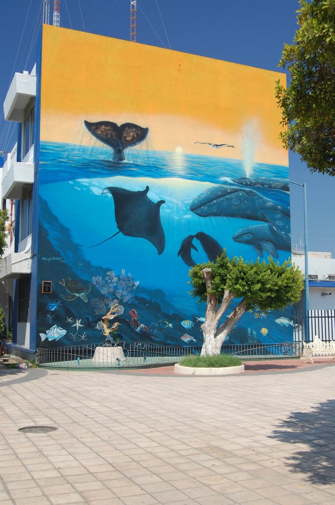 La Paz Wyland Mural by HaciendasPaloVerde