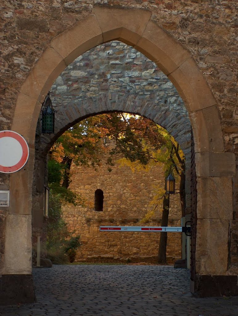 Alzeyer Schloß, Blick durch Stadttor und Schloßtor... by Sanremese