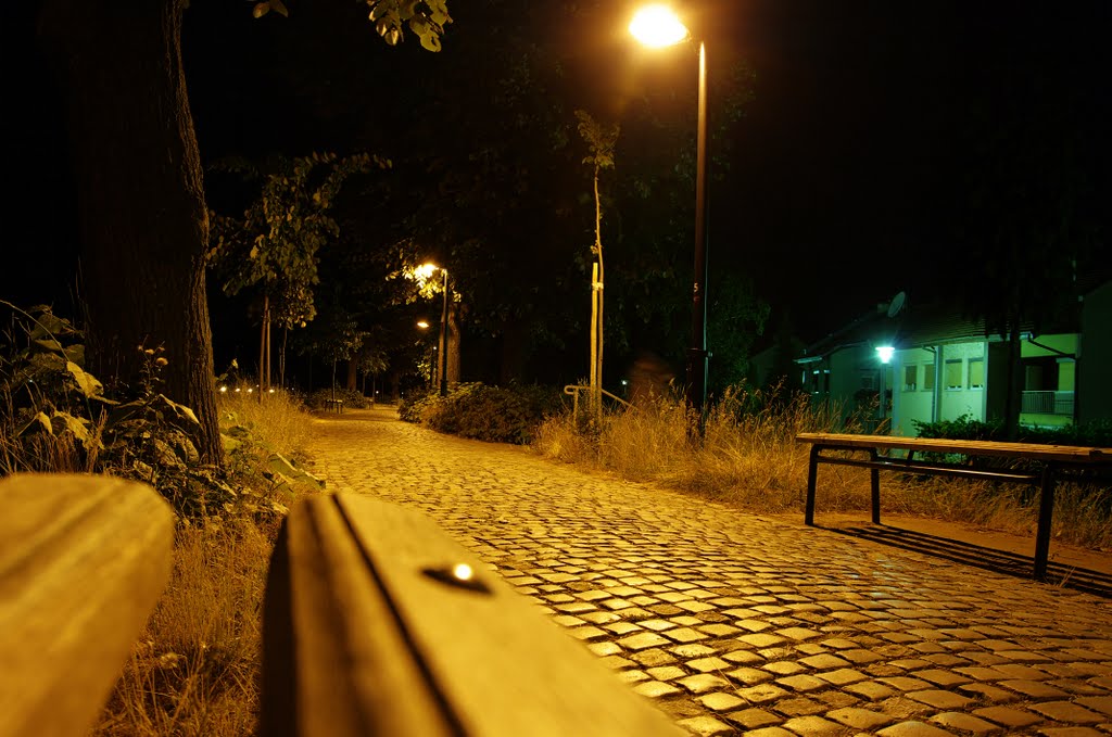 Nišava walkways at night 2 by rlubej