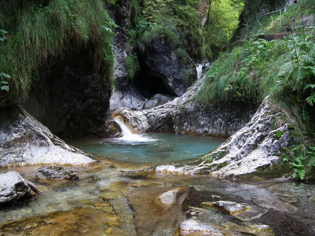 "Scodelle" naturali lungo la Val Vertova by angelo bocchioli