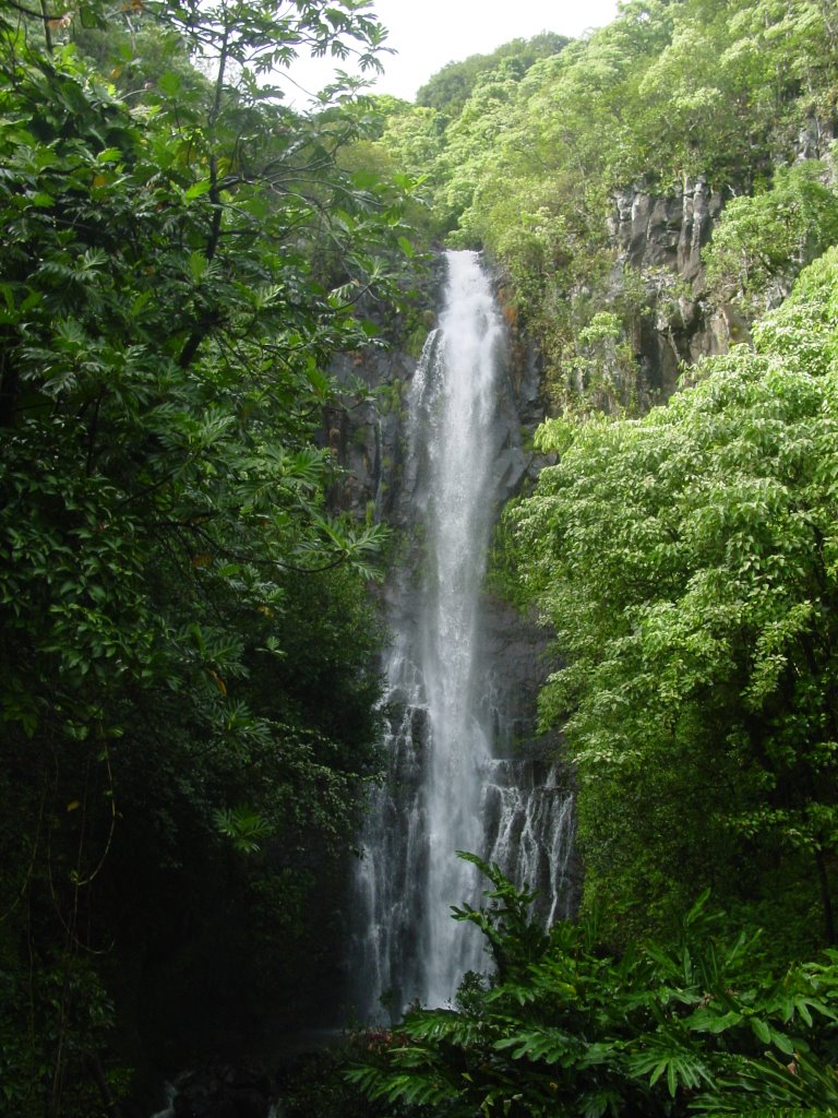 Maui waterfall by rich oros