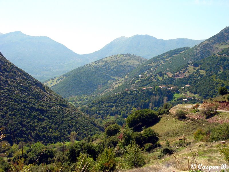 Near Hovoli (Peloponese, 2002) by Caspar B.