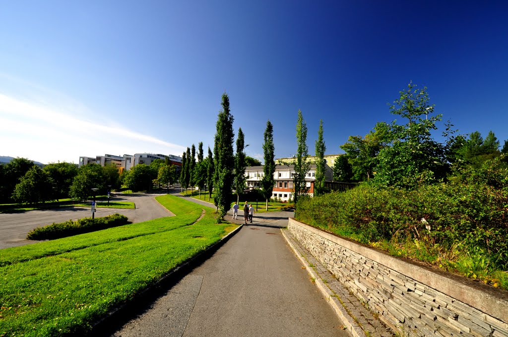 NTNU, Trondheim by Aziz Nasuti