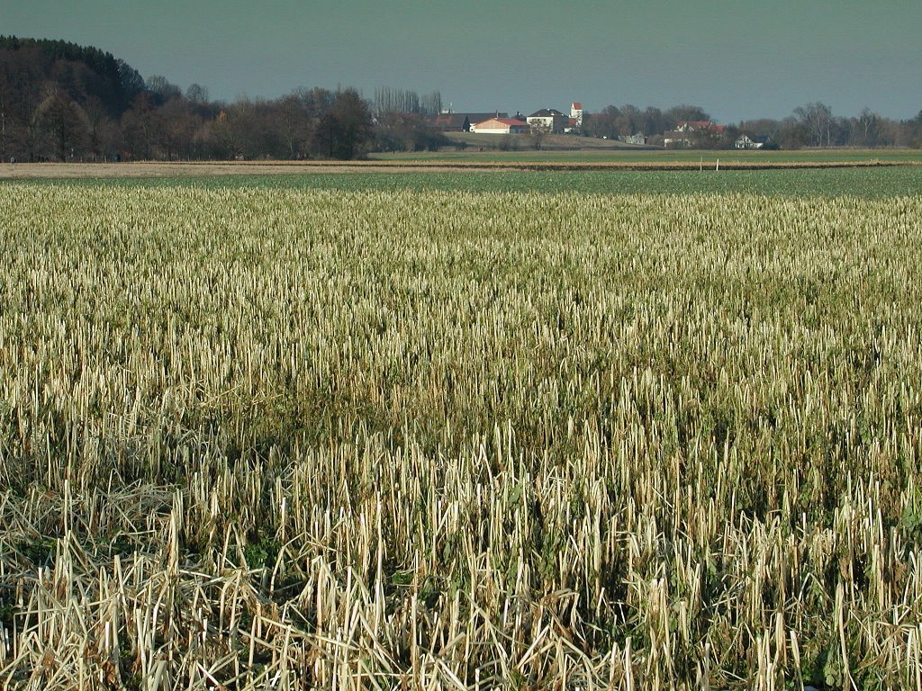 Blick auf Puchheim, Nähe Germeringer See by JustforFun