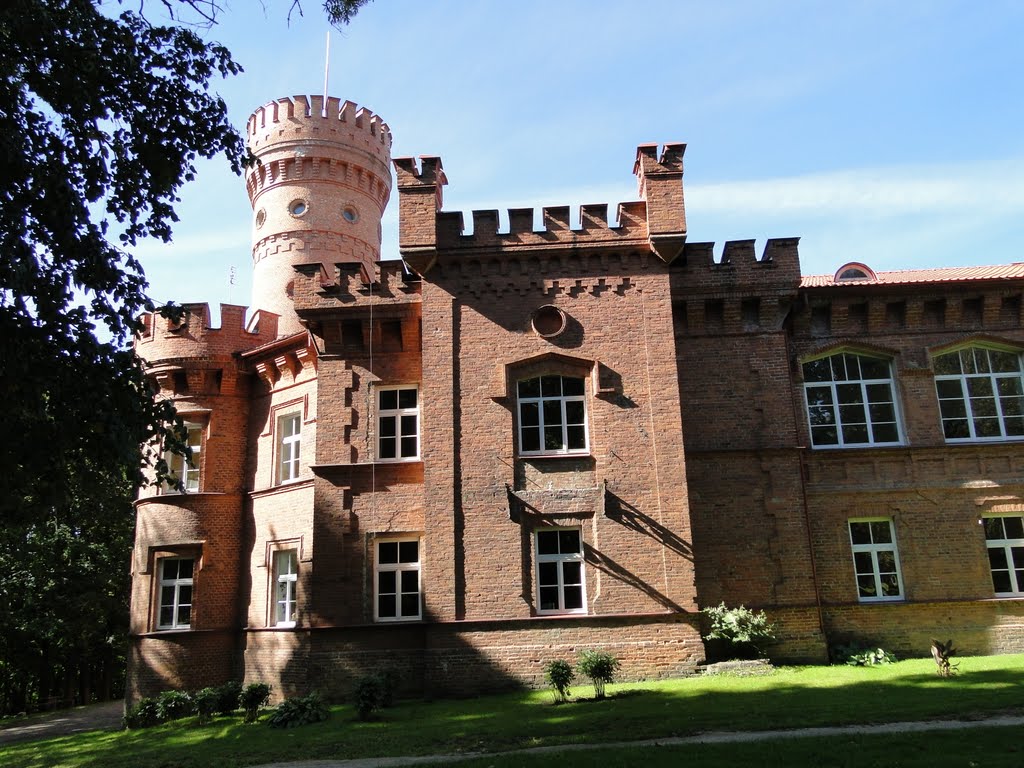 Burg Raudone by Bernd Kuhnt