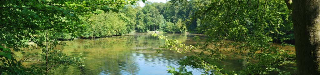 Panorama dans la Forêt de Soignes by HgO