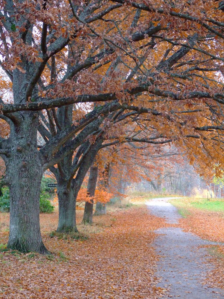 Ekebyhovs Slott park by Amanda Wood