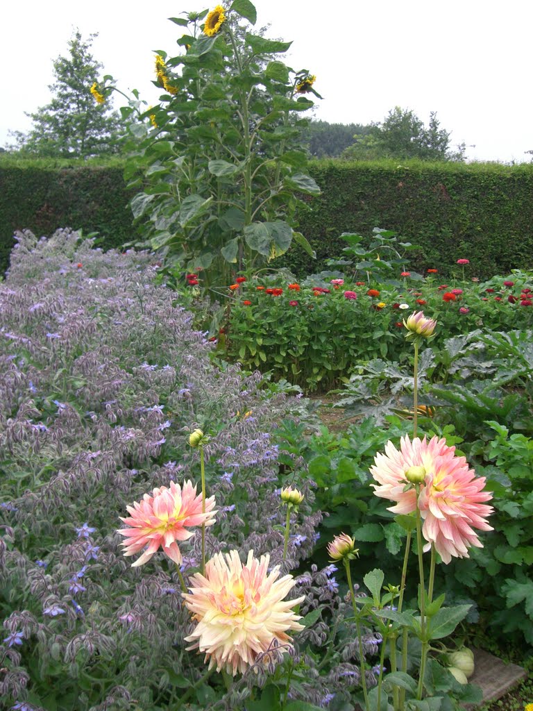 Un potager luxuriant, Sargé les le Mans, SLG 2011 by legourriellecs