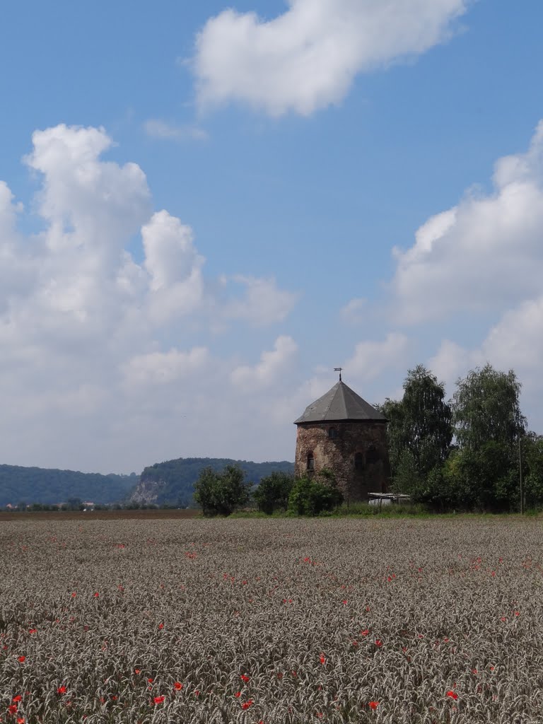 Alte Windmühle und Bosel-Felsen by ©Bke