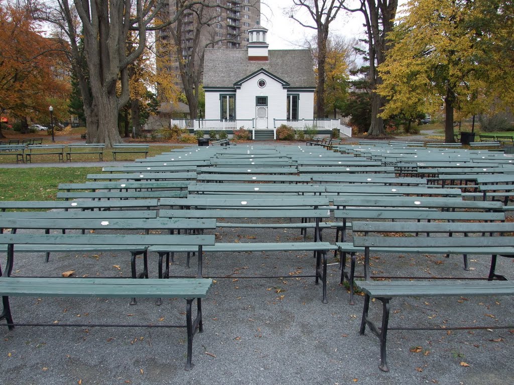 Public Gardens in November, Halifax by Amanda Wood