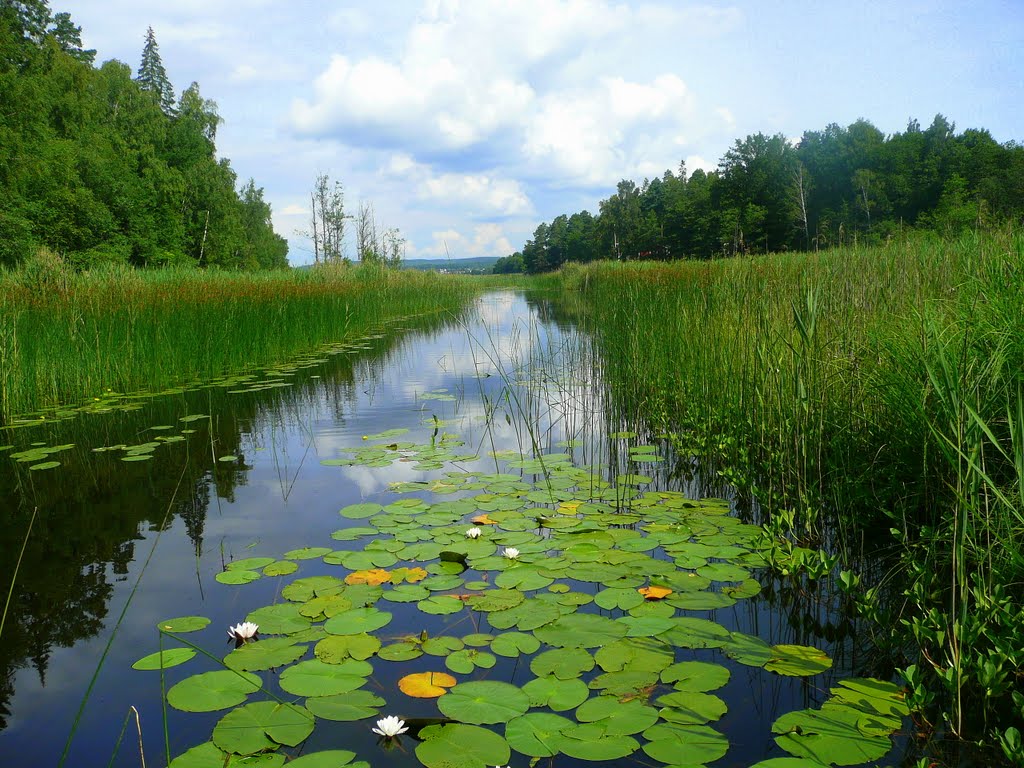 Sjön Gerdsken i Alingsås,Sweden,2011. by Despina Mousafiri