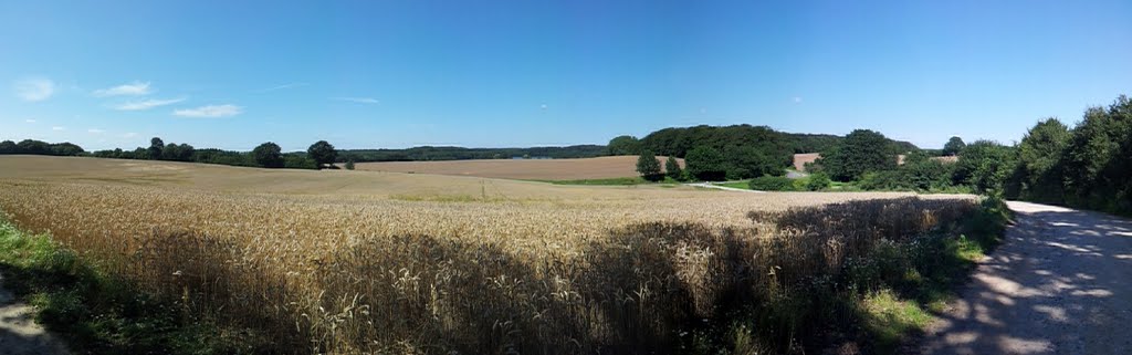 Augustfelde,Blick zum Vierersee by CAS764