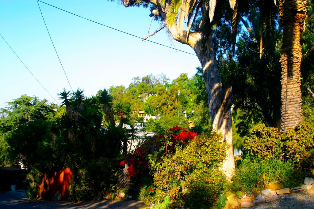 Echo Park, Los Angeles, CA by MICHAEL  JIROCH  &  www.michaeljiroch.com