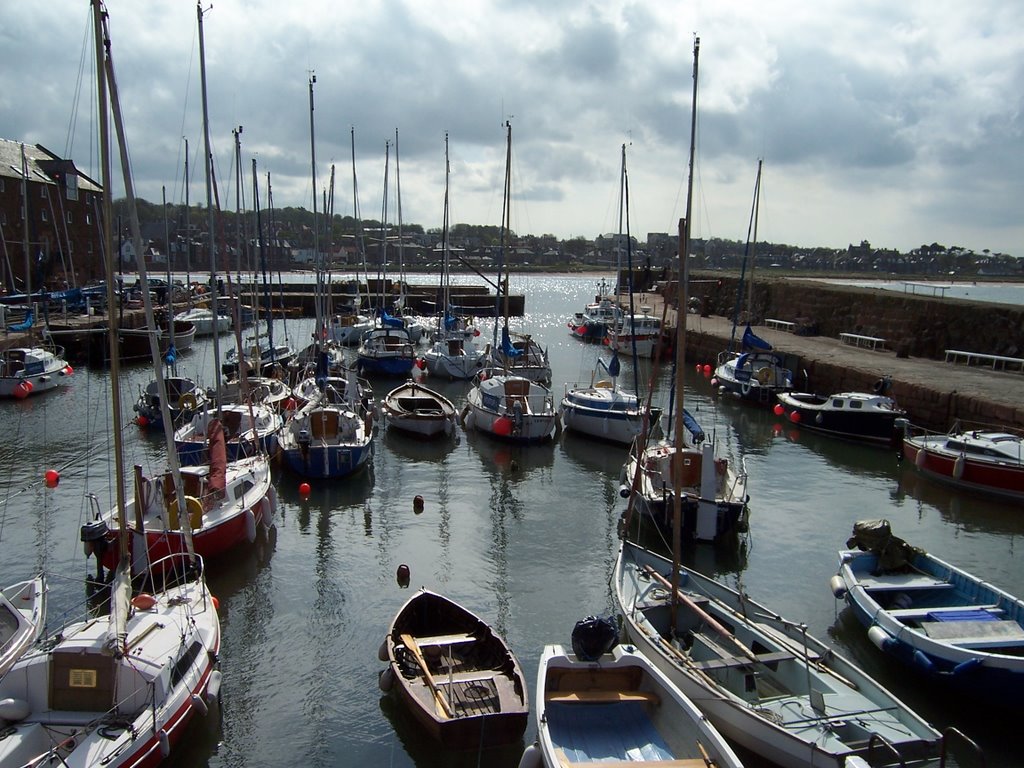 North berwick harbour by wutangmonkey