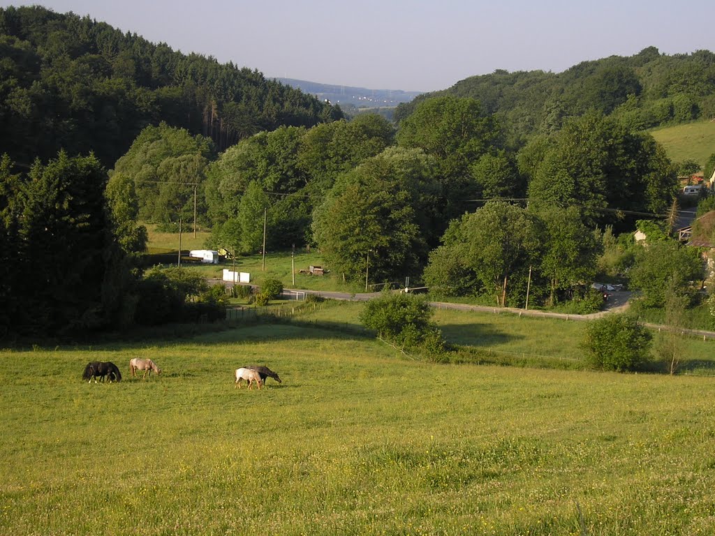 Tal des Rieferather Baches, Blick zum Siegtal Richtung Eitorf by Rieferath