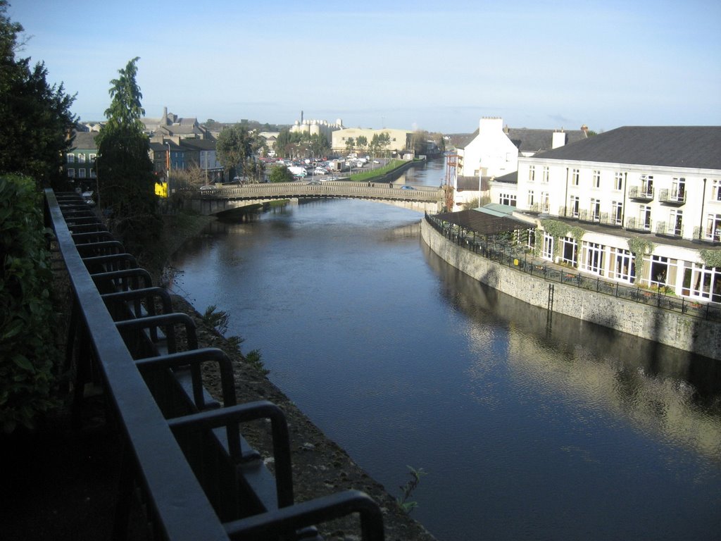 River Nore from Kilkenny Castle by Brian Mooney