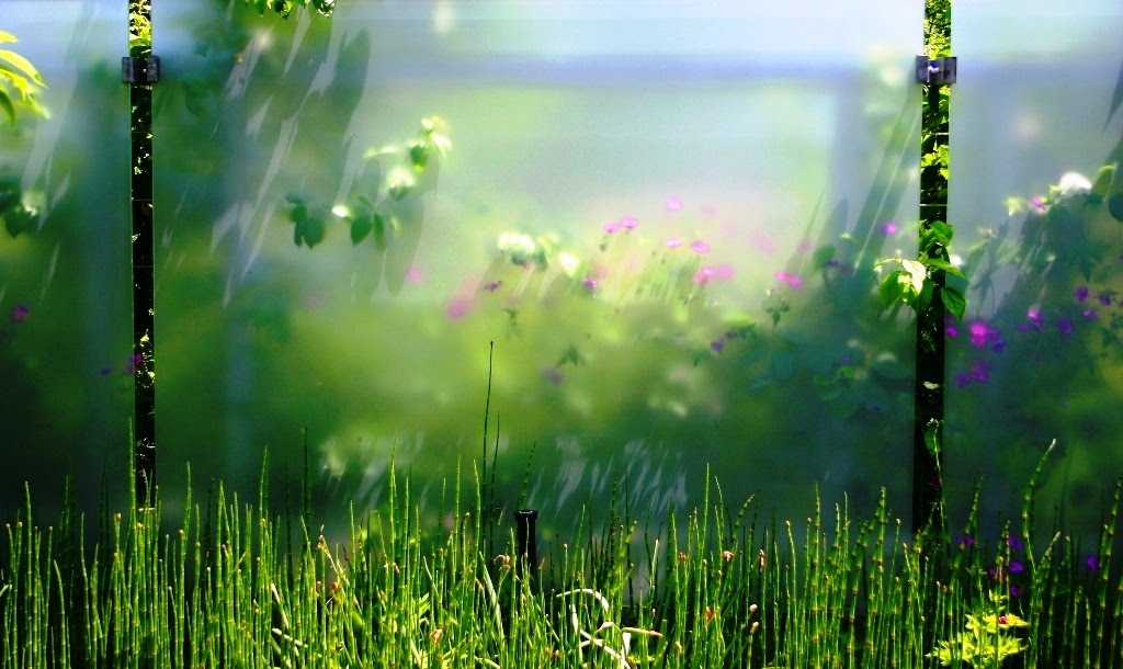 TORONTO BOTANICAL GARDEN-CANADA by kiril shark