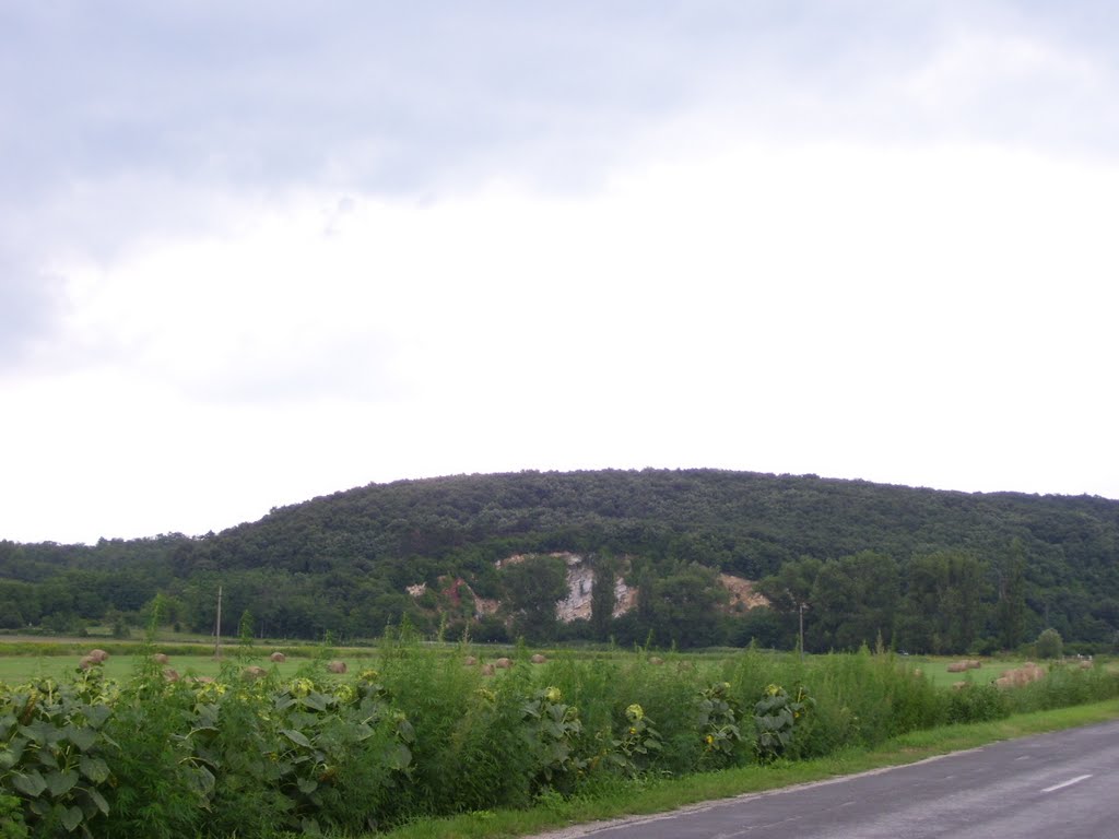 Balinka határából Bodajk felé by Molnár Ferenc