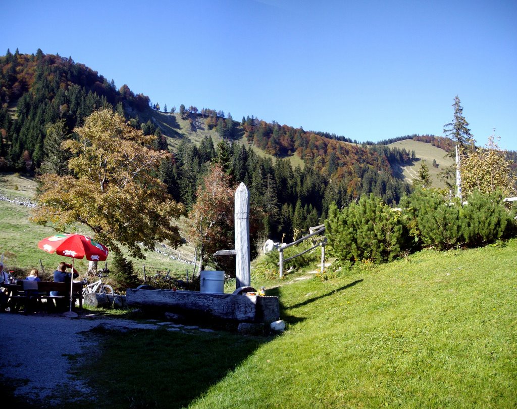 Auf der Illingeralm by holger mohaupt