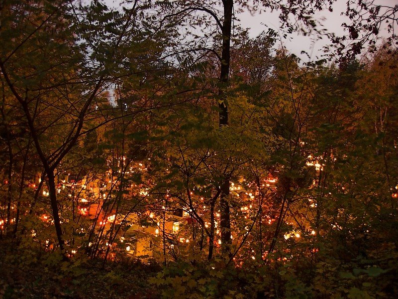 Cemetery in Zielona Góra by arek_b