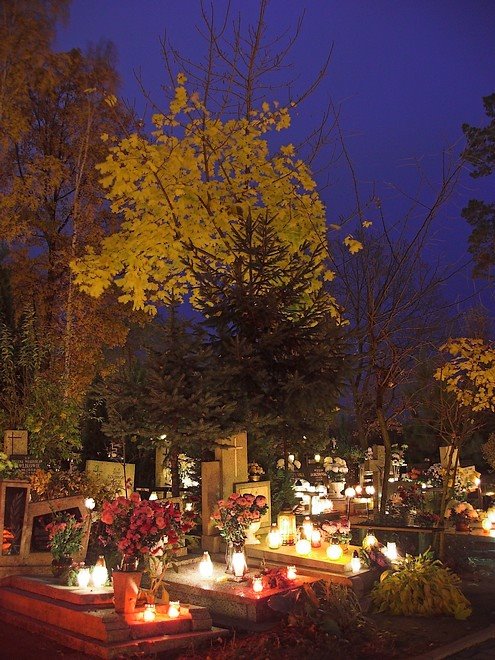 Cemetery in Zielona Góra by arek_b