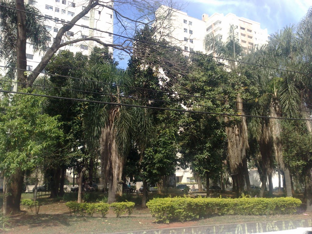 Praça Santa Cruz no Bairro de Santo Amaro by lcsg1972