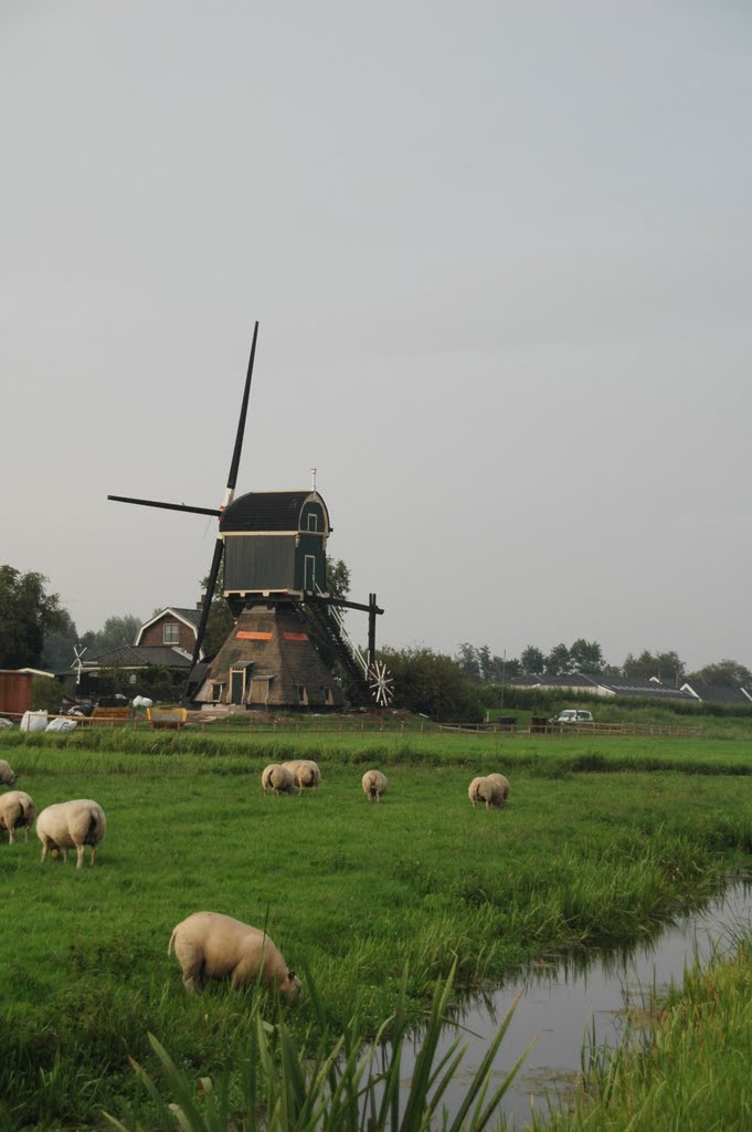 Kockengense molen, situatie 3.8.11. by René Speur