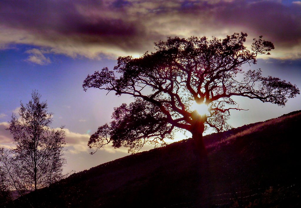 DALES SUNSET.NEAR APPLETREEWICK by A.SKINNER