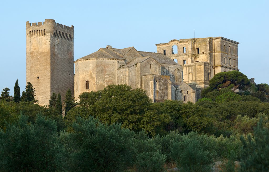 Abbaye Saint-Pierre de Montmajour by coolboy667