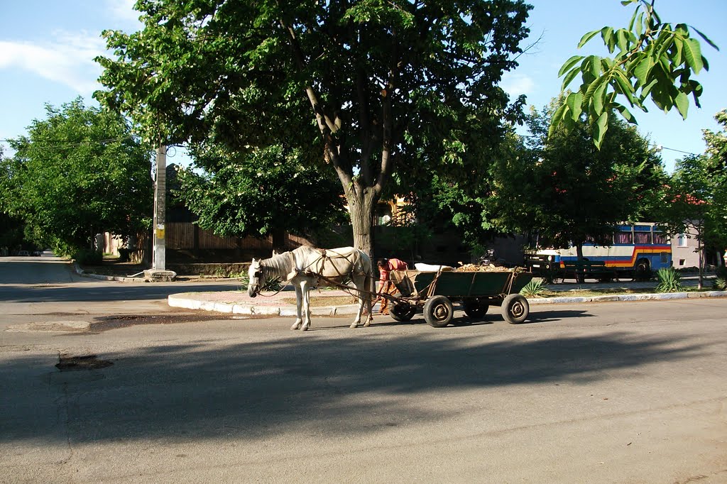 Calafat, durante mi 8º Viaje a Rumania. Julio de 2011 by viajeroandaluz