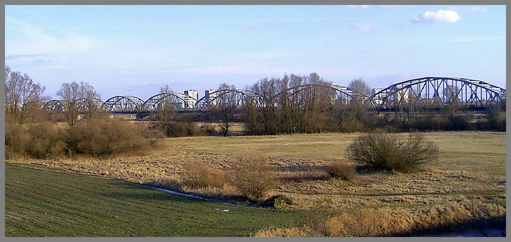 Grudziadz / Graudenz - Wisla / Weichsel Brücke by normandie2005