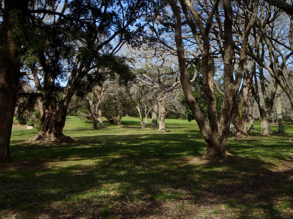 Auckland Domain in the winter by Victor Rull