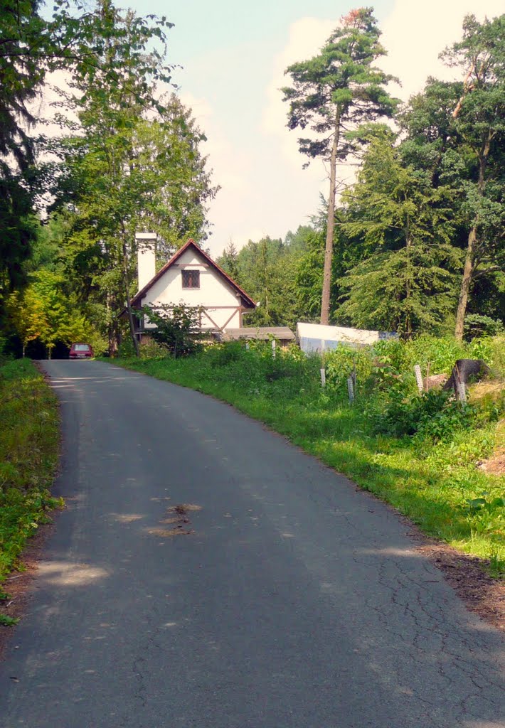 Jelenice, srpen 2011 - la cabane Jelenice by Zdenek Mario