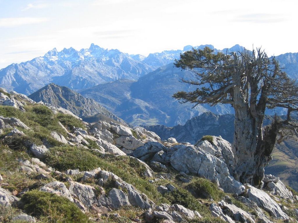 Picos Europa desde el Pierzu by La Casa del Chiflón