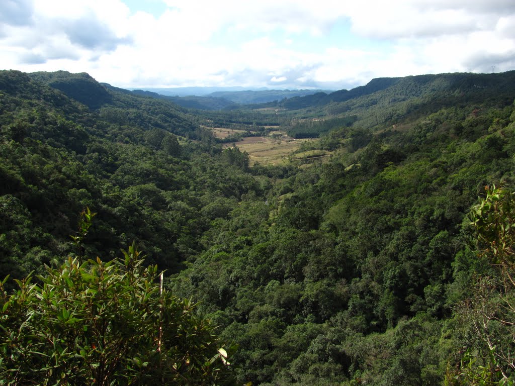 VISTA PANORÂMICA DO VALE-LIBERDADE-BENEDITO NOVO by Sidnei Recco