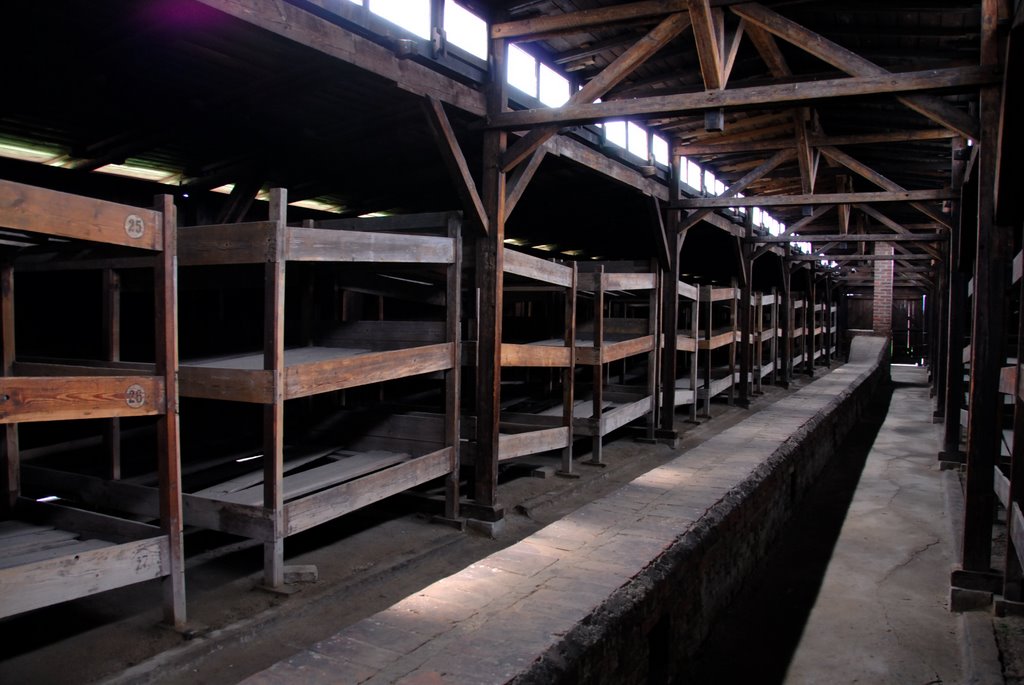 Birkenau (Brzezinka) Concentration Camp by mikeangelo