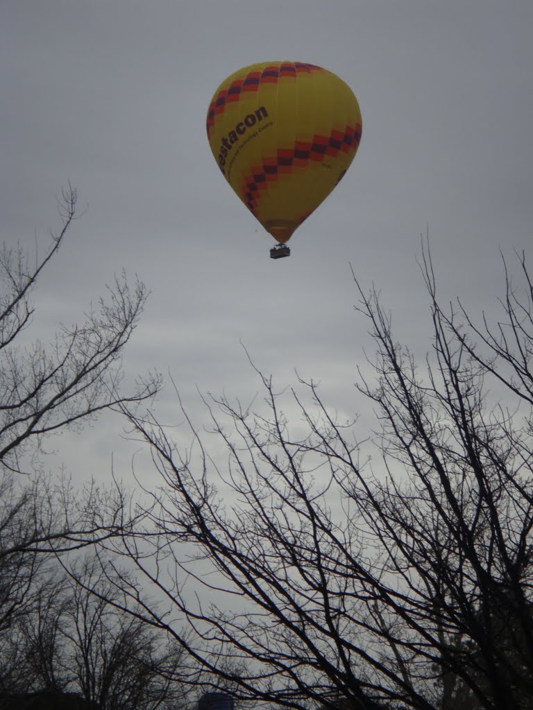 Balloons Canberra from the National Convention Centre by Geniene Prater