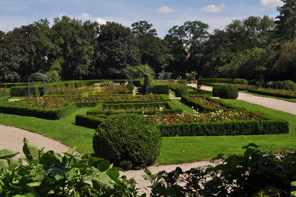 Der Rosengarten im Berliner Humboldthain von Siegfried Kremer by Siegfried Kremer Philippsburg