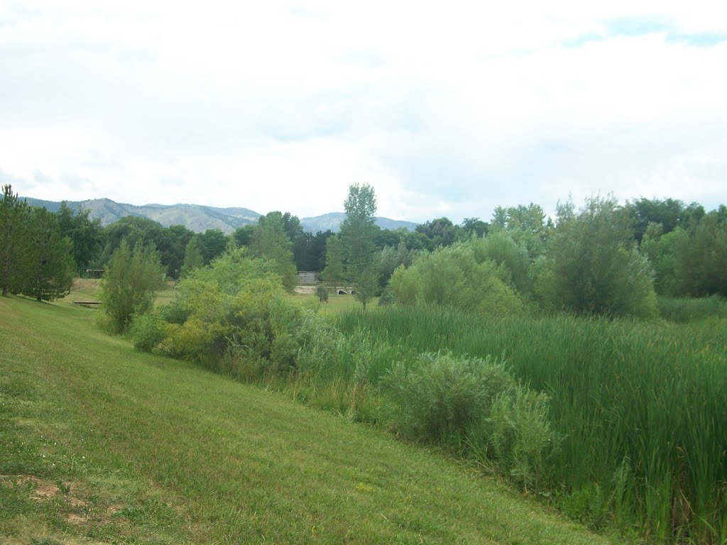 Avery Park, mountains in the distance by Sammy38