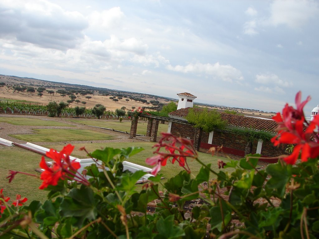 Herdade do Esporão (Reguengos) by José Paulo Santos