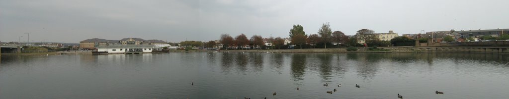 Weymouth Swannery by funkyjim