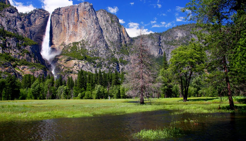 Yosemite. Primavea by crismargar