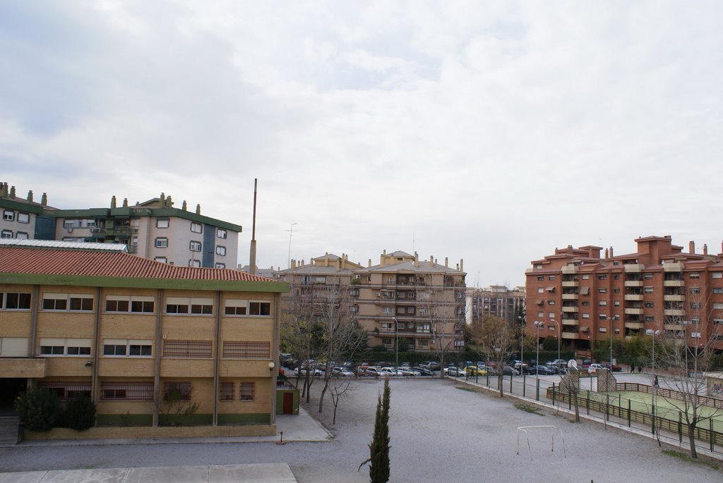 Zona Violón. Colegio y polideportivo by educhip